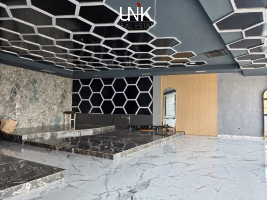 Hapsirë afariste me qira, 170 m²